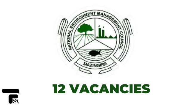 12 Vacancies Open at NEMC Tanzania