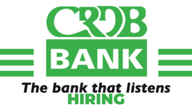 CRDB Hiring Manager Retail Collection (SME, MSE, Consumer)