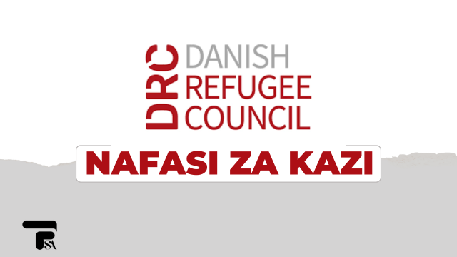 Consortium Partnership Manager Vacancy Open at Danish Refugee Council
