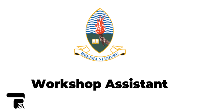 Workshop Assistant II - (Electrical) Vacancy Open at UDSM