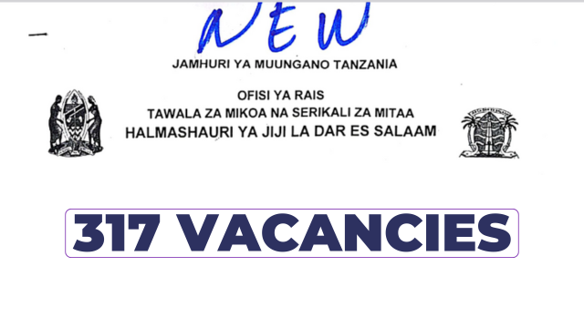 317 Job Vacancies Open at Dar es Salaam City Council