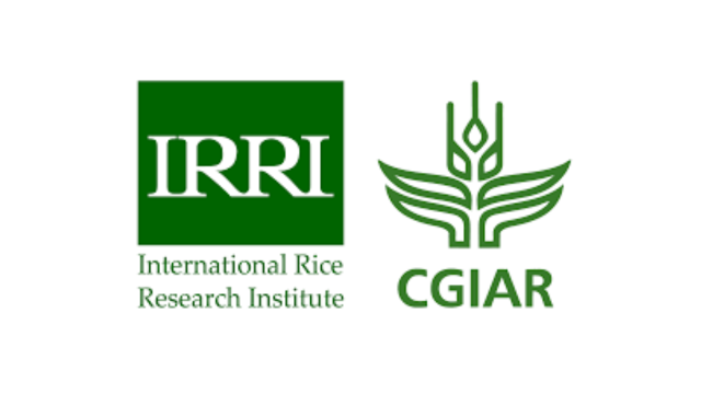 Assistant Scientist – Agronomy || IRRI
