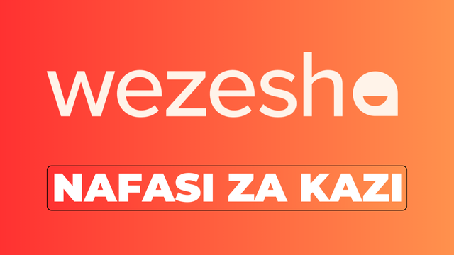 Finance Manager || Wezesha