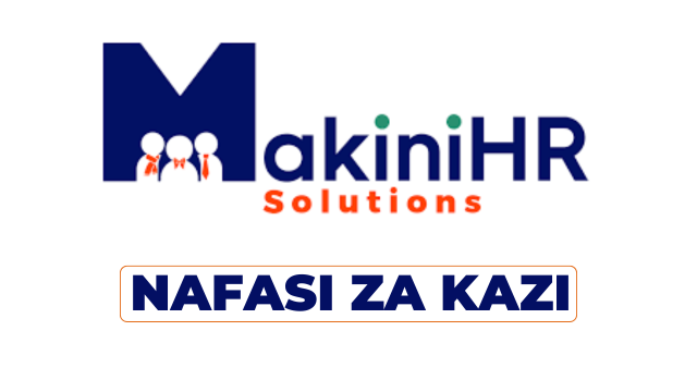 MakiniHR Solutions Hiring Finance Officer/Finance Assistant