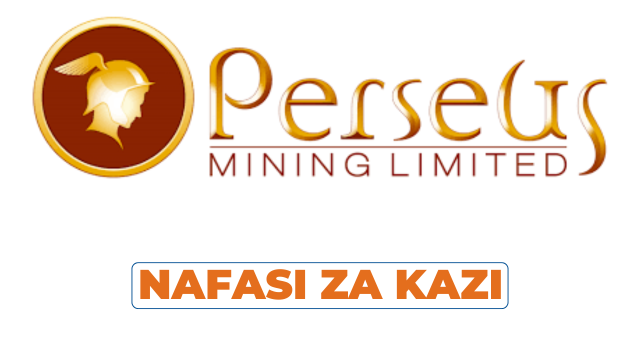 Support Services Coordinator || Perseus Mining