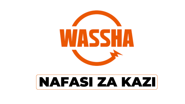 WASSHA Inc Hiring Business Analyst