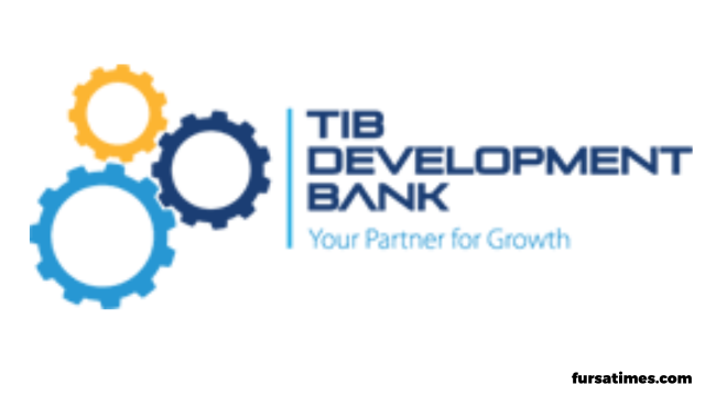 TIB Development Bank Hiring in 3 Positions